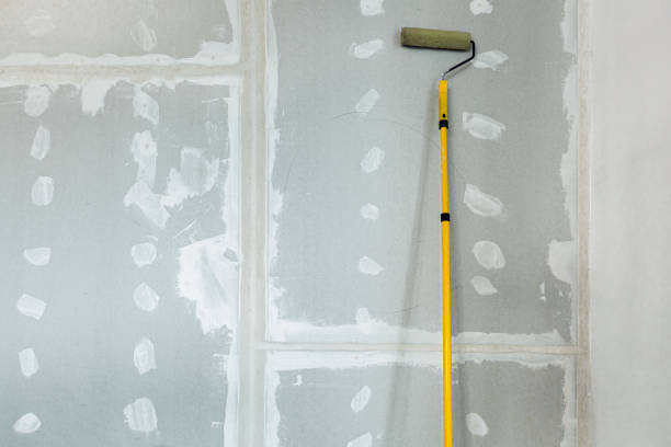 Best Black Mold Removal  in Emah, OK